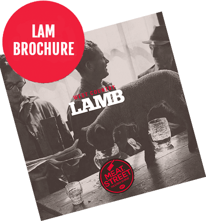 Lam Brochure